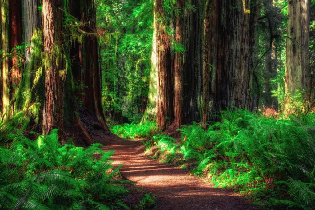 Bear Mountain - Suite 8 Grants Pass Luaran gambar